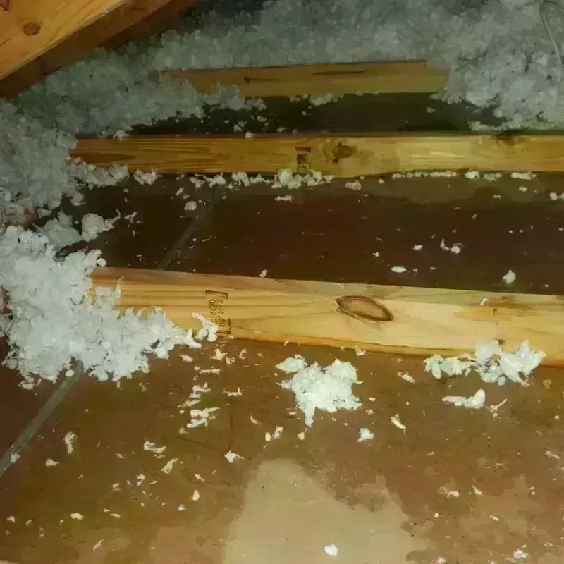 Attic Water Damage in Roscoe, IL