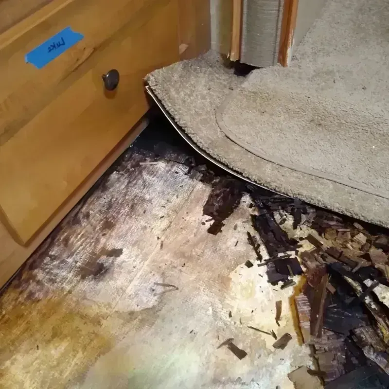 Wood Floor Water Damage in Roscoe, IL